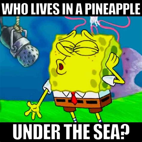 50 Funny SpongeBob Memes And Interesting Facts