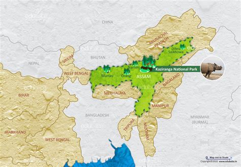 Kaziranga National Park | Definition, Map & Facts for Exam – EDUBABA