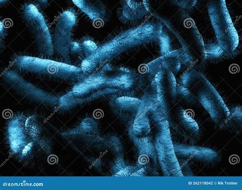 Enterobacteriaceae-bakterier Stock Illustrationer - Illustration av infektion, förorening: 262118042