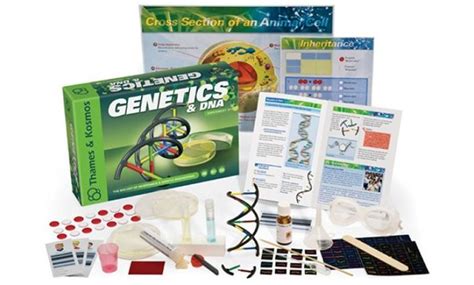 Image result for Genetics Project Kit