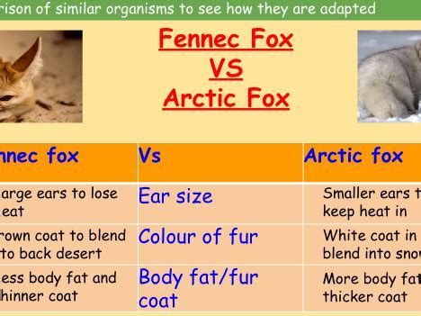 Adaptations KS3 的图像结果