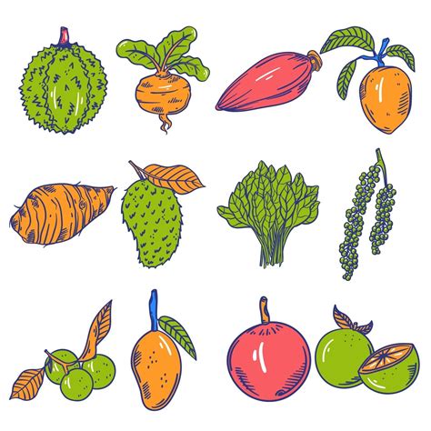 水果蔬菜手绘勾线插画元素