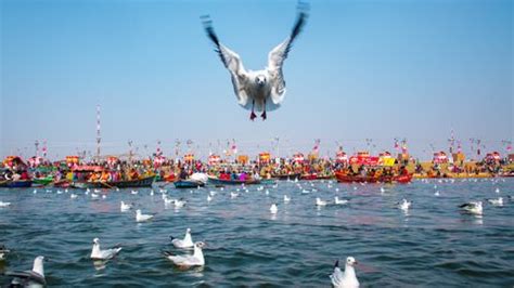Prayagraj Triveni Sangam: Your Local Guide To The Ganges In Allahabad