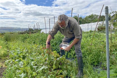 Go Local Produts 的图像结果
