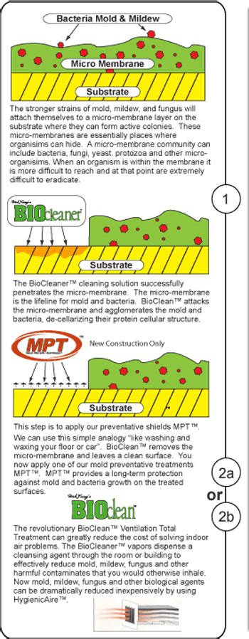 How to Use Bio-Clean 的图像结果