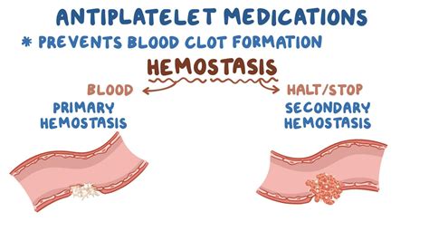 How Hemostatic Agents Work at Michelle Ma blog