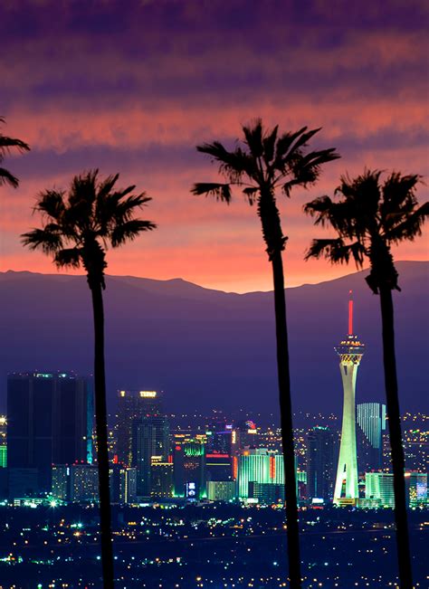 Image result for Seattle Protesters Hit