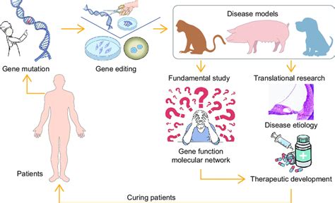 Mutation Example 的图像结果