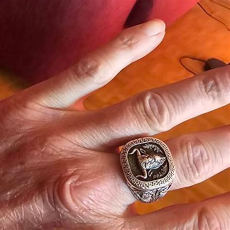 Image result for Lion vs Python Ring