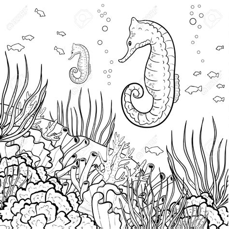 Sea Coral Reef Vector