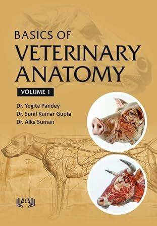 Buy BASICS OF VETERINARY ANATOMY VOL.1 (HARD COVER 2025) Book Online at ...