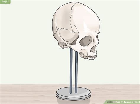 Python 2 Kill Count 的图像结果