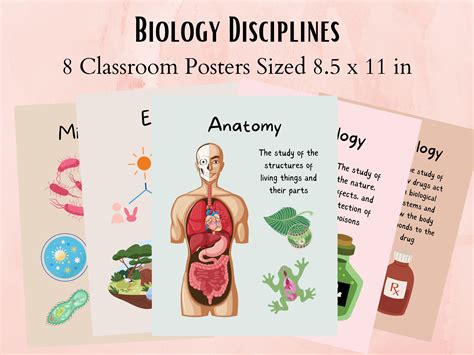 Biology Poster-Making 的图像结果