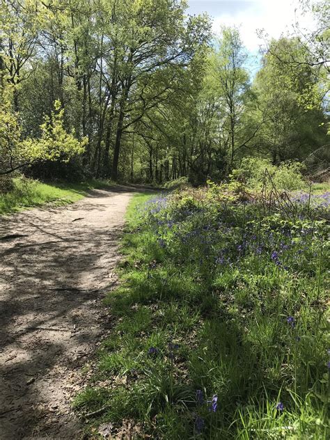 Dance and archaeology performance and discussion - Holmbury Hill ...