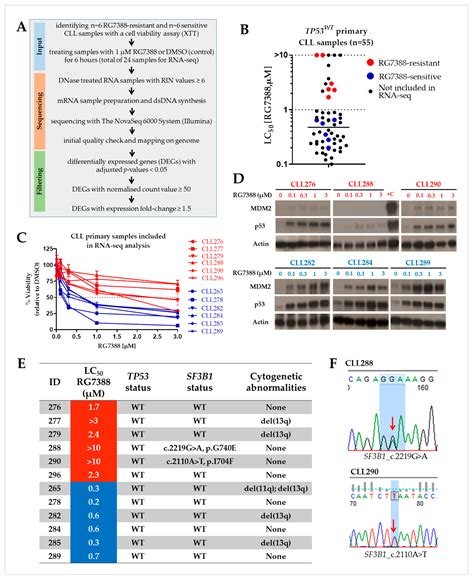 RNA Sequencing Reveals Candidate Genes and Pathways Associated with ...