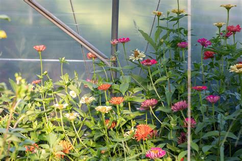 Intro to Raised Beds Workshop , McLaughlin Grows Urban Farm at Trinity ...
