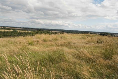 Grasses II - practicing grass identification with Brian Eversham, Old ...