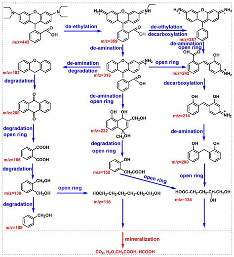 Investigation of the Photocatalytic Performance, Mechanism, and ...