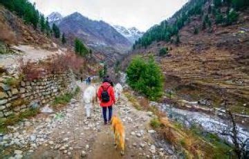 4 Days 3 Nights shimla, manali and solang valley Family Holiday Package ...