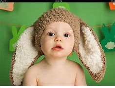 Image result for Pet Baby Bunnies