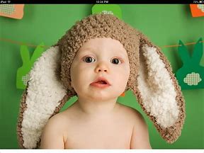 Image result for Cute Wild Baby Bunnies