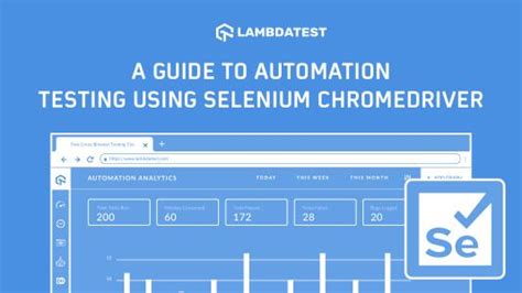 How to Use Selenium to Do Test Automation with Chrome Driver 的图像结果