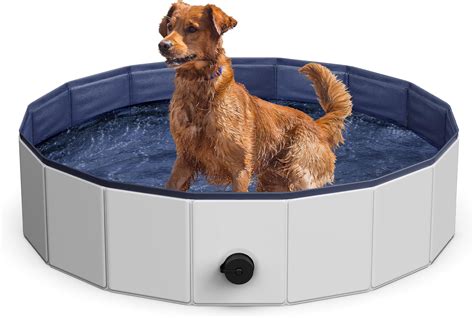 Amazon.com: Niubya Foldable Dog Pool, Collapsible Hard Plastic Dog ...