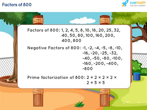 What Is 30 Of 800 at Ellie Redmond blog