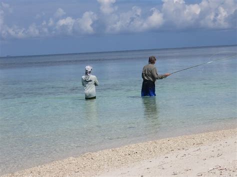 Kaimani Marine Tours (Punta Gorda) - All You Need to Know BEFORE You Go