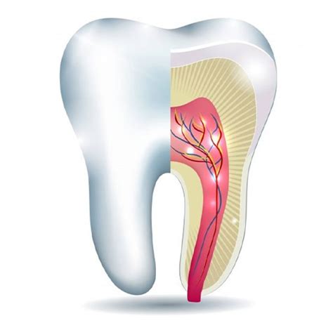 Being Dentist Maxillofacial and Dental Implant Clinic