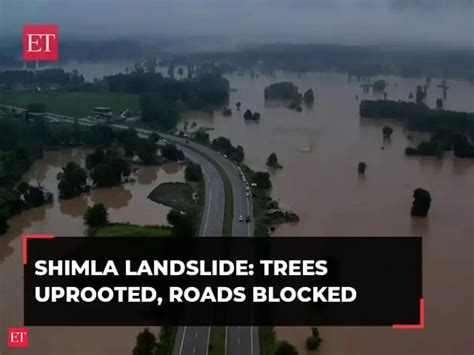 himachal: Himachal Pradesh: Trees uprooted, roads blocked, cars buried ...