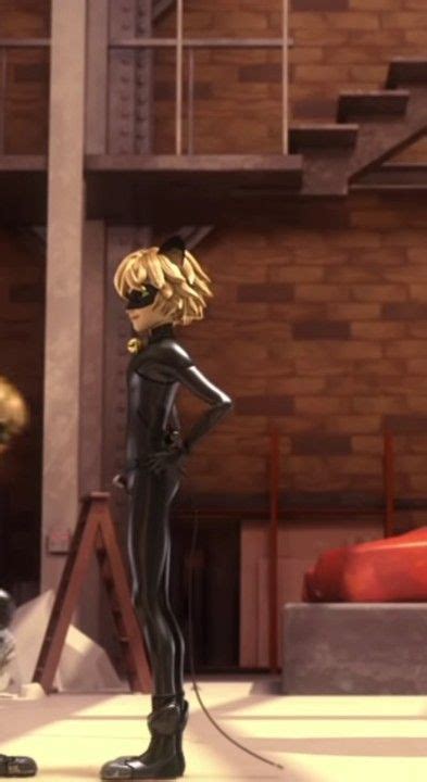 Rezultat imagine pentru Ladybug Copycat