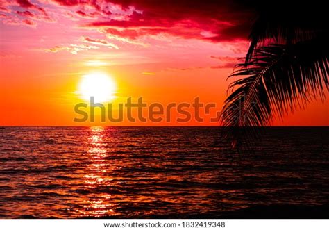 Image result for Sunset Climb O2