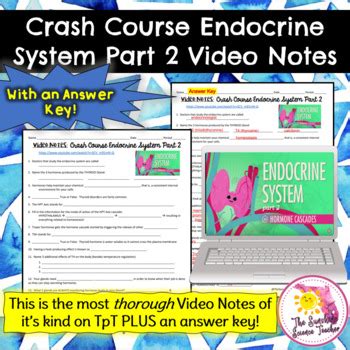 Crash Course Endocrine System 的图像结果