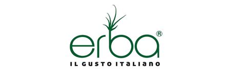 Buy ERBA- IL GUSTO ITALIANO Artificial Artificial Flora Plastic ...
