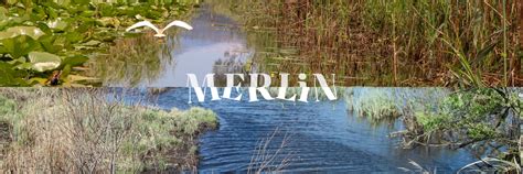 Image result for Merlin Project