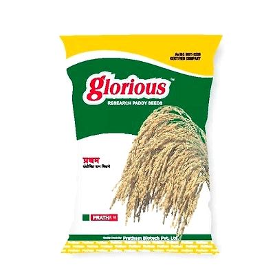 Research Paddy Seeds - | Indian Business Portal