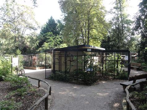 ZooLex Image - Path around the aviaries