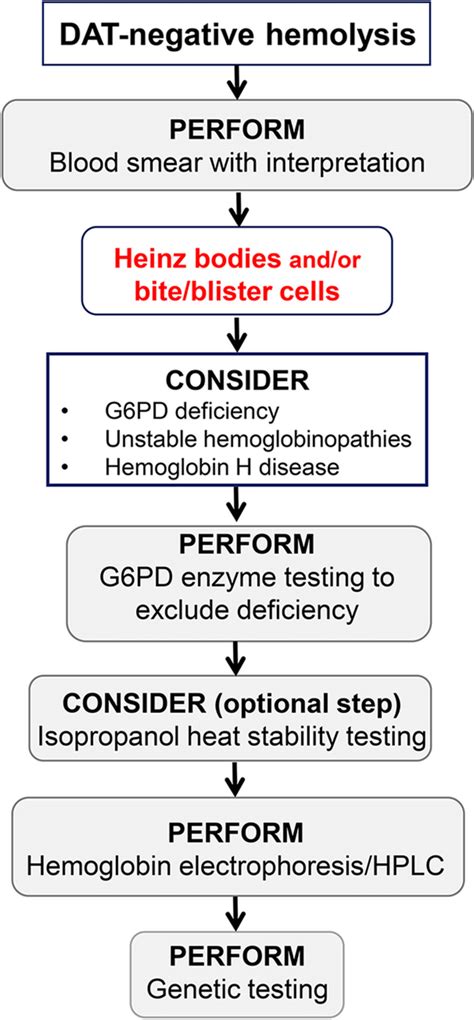 Image result for Dat Positive