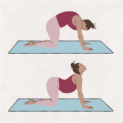 Image result for How to Stretch Lower Back Muscles