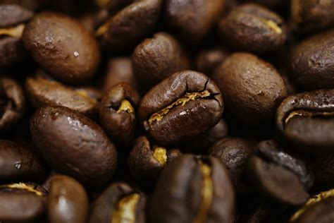 巴西咖啡的四大处理法有哪些？（五） | EHS咖啡西点培训学院
