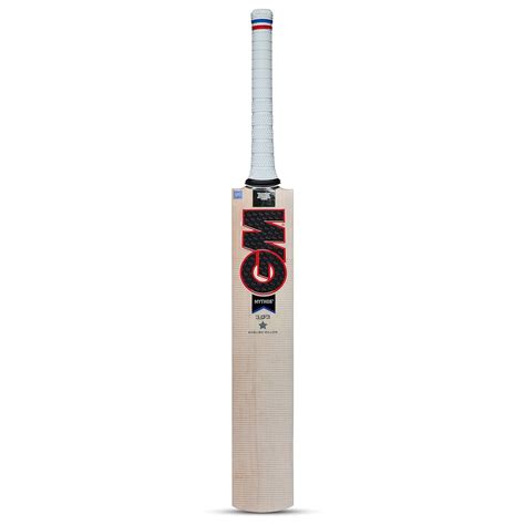 GM Mythos 303 English Willow Cricket Bat for Men and Boys | Cross Weave ...