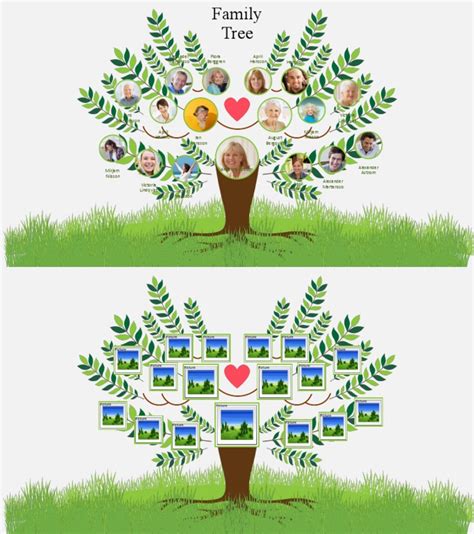 Image result for Family Tree Infographic