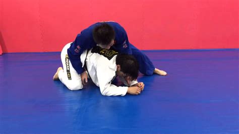 Image result for Turtleback Position