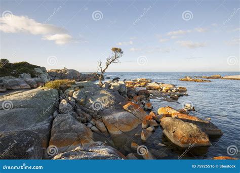 Bay of Fires, Australia Tasmania Stock Photo - Image of point, coast ...