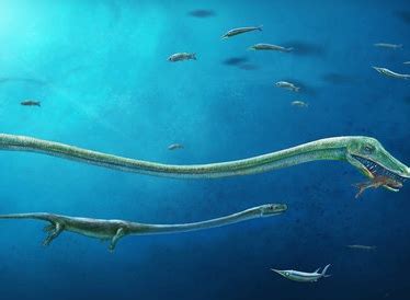 Fossil Shows Pregnant Sea Monster With Developing Embryo - The Wire