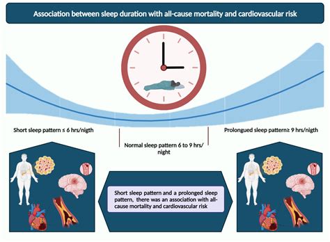 The U-Shaped Association between Sleep Duration, All-Cause Mortality ...