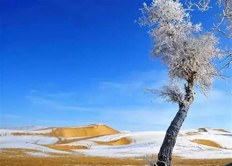 撒哈拉沙漠罕見降雪 40厘米積雪蓋黃沙 - 澳門力報官網
