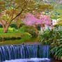 Image result for Country Spring Morning