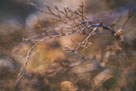 Helios 44, But With A Twist! - aarondesigns.org